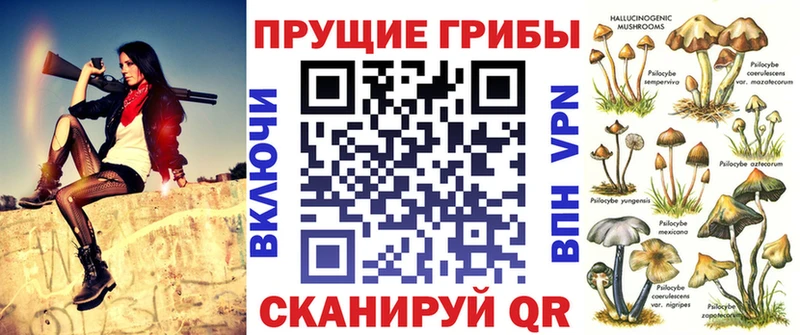 закладки  мориарти официальный сайт  mega зеркало  Псилоцибиновые грибы GOLDEN TEACHER  Власиха 